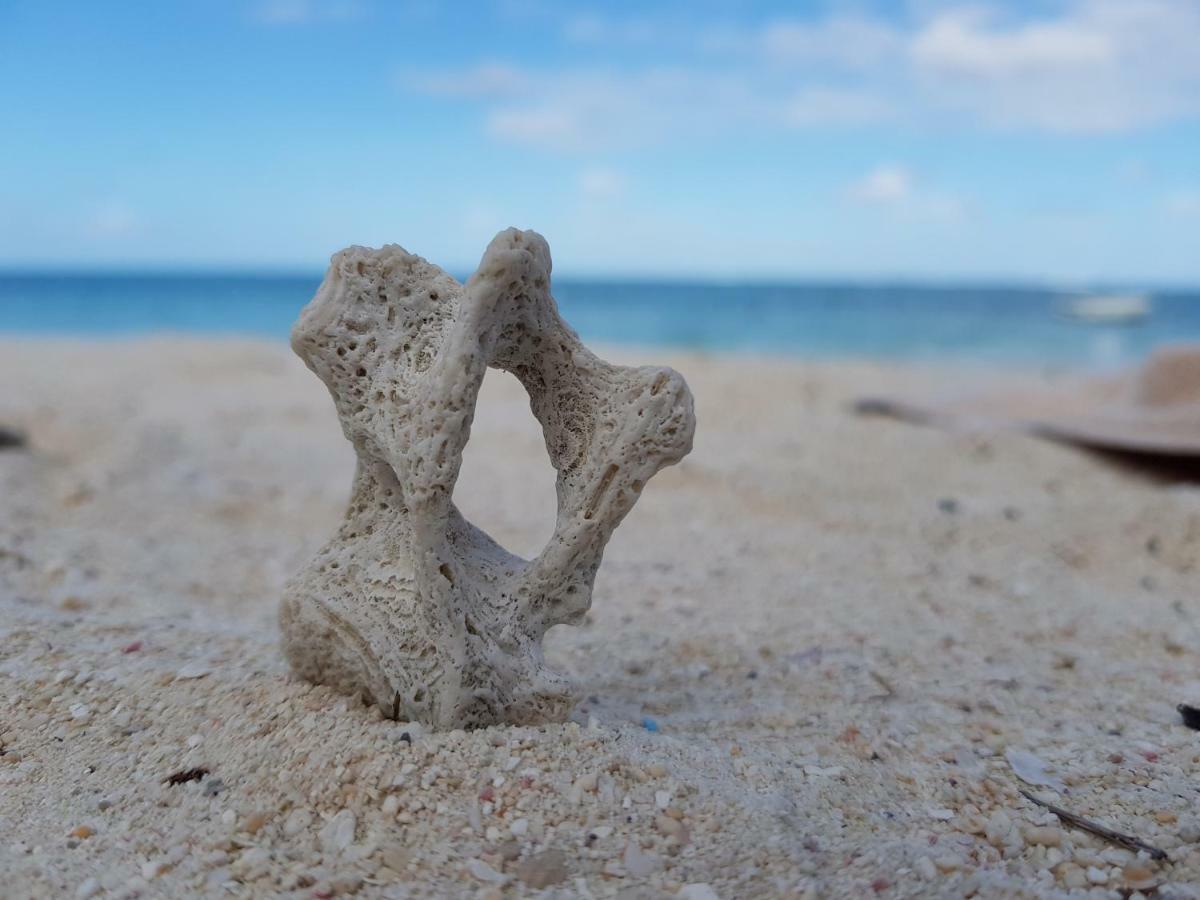 芙蓉别墅 蓝海湾 外观 照片