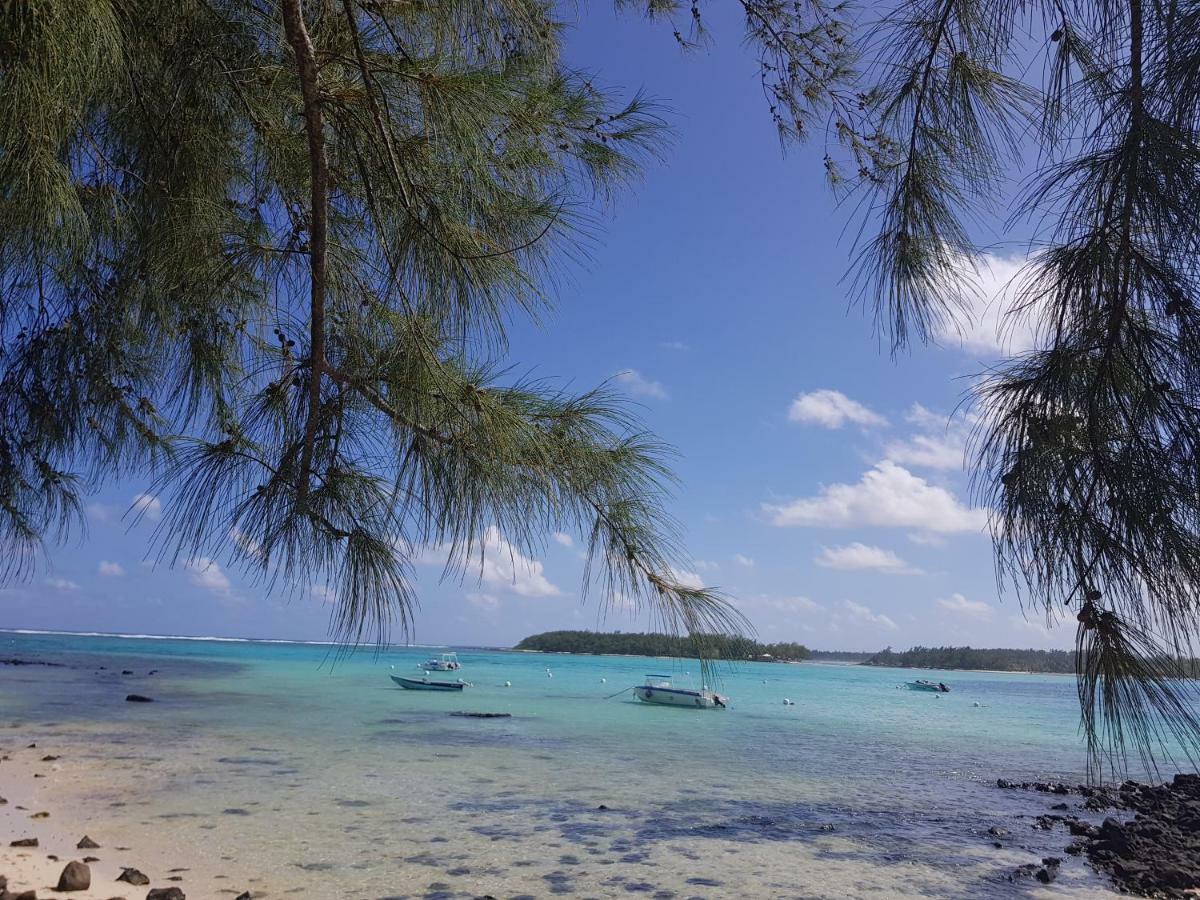 芙蓉别墅 蓝海湾 外观 照片
