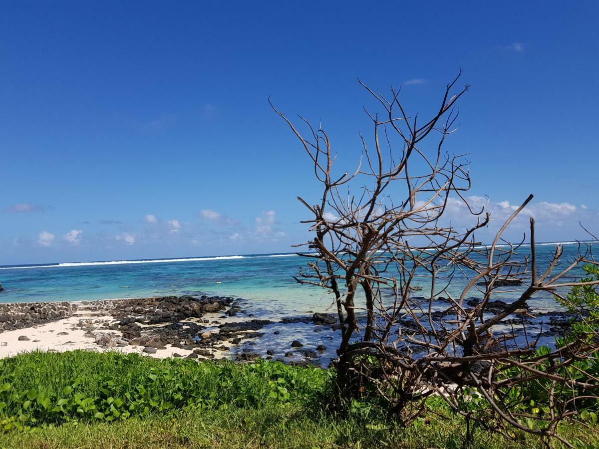 芙蓉别墅 蓝海湾 外观 照片